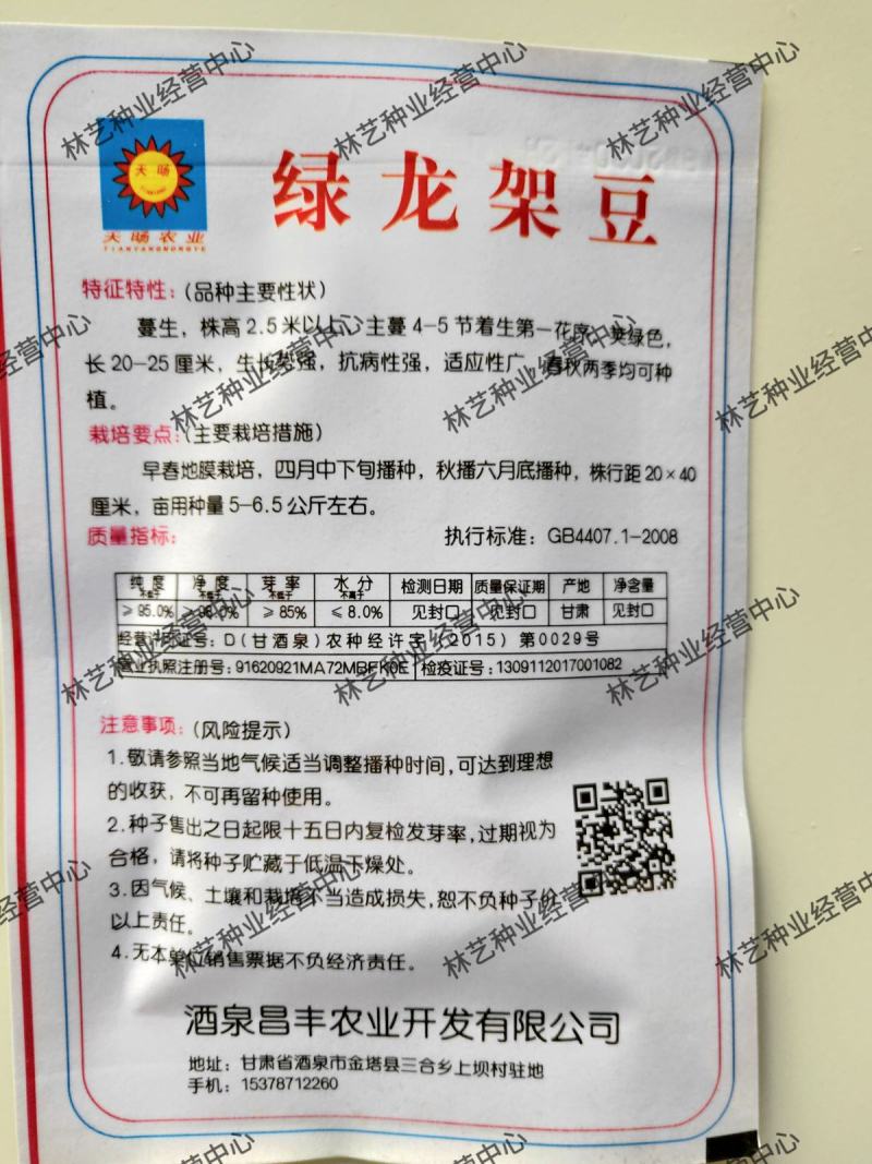 绿龙架豆种子早熟高产春季耐老化无筋特嫩芸豆大荚