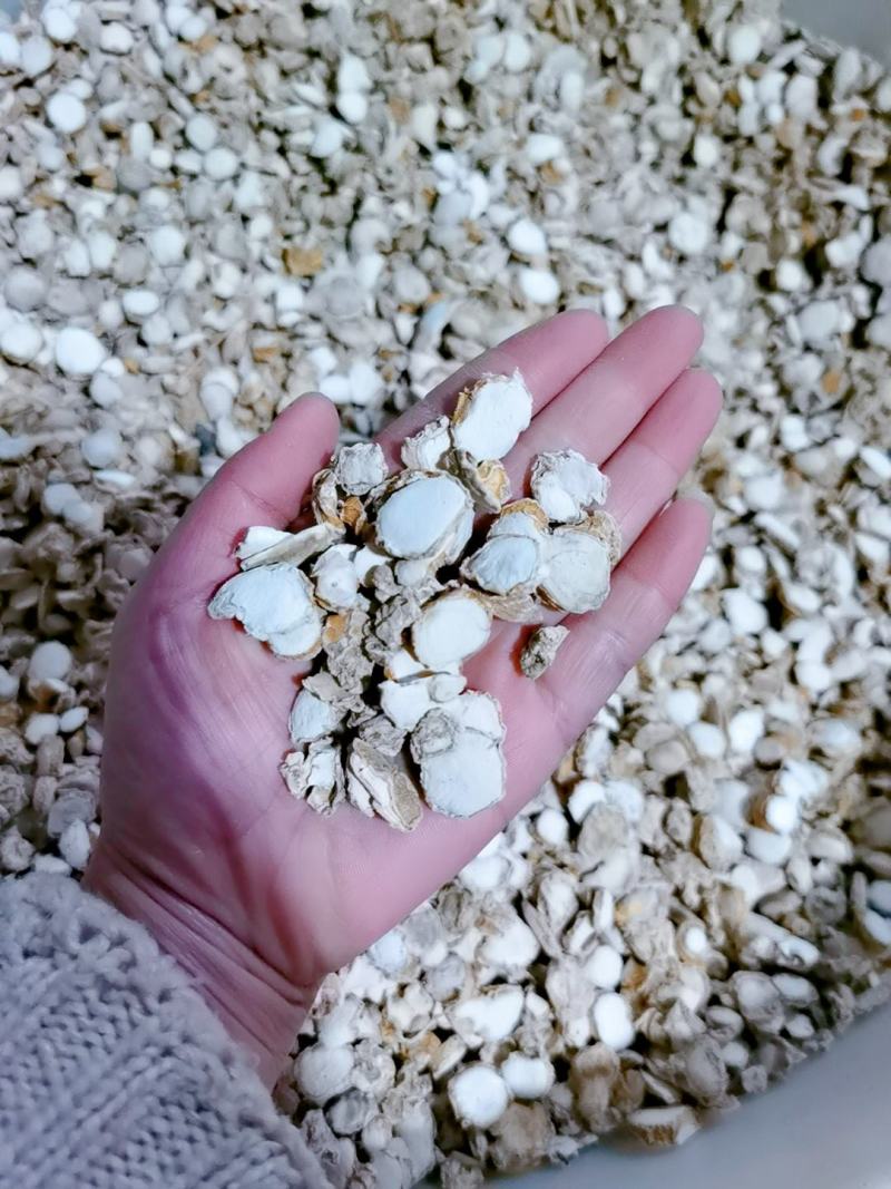 三奈山奈沙姜片山柰香料调料卤肉料中药材