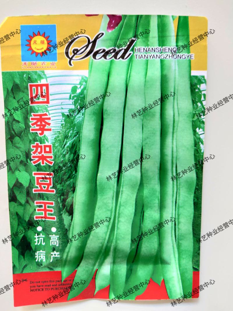 四季架豆王种子春季高产蔬菜种孑农家庭院豆角种籽无筋架豆王