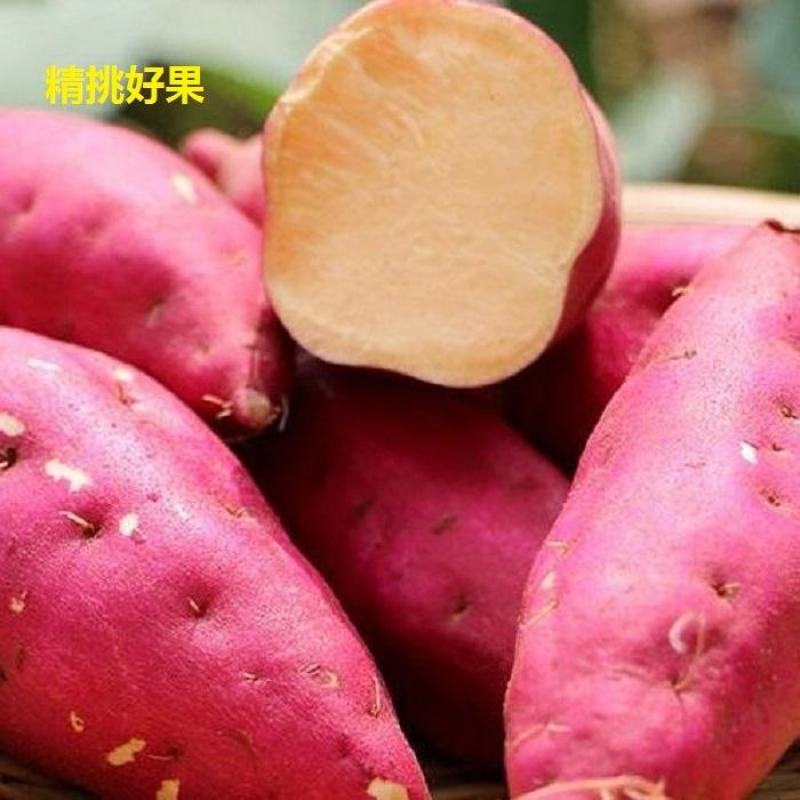 西瓜红沙地红薯香甜如蜜市场货工厂货