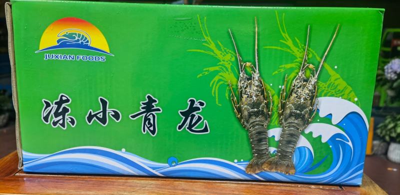 海捕/国产/A级/清蒸品质/青龙300/400