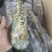 海捕/国产/A级/清蒸品质/青龙400/500