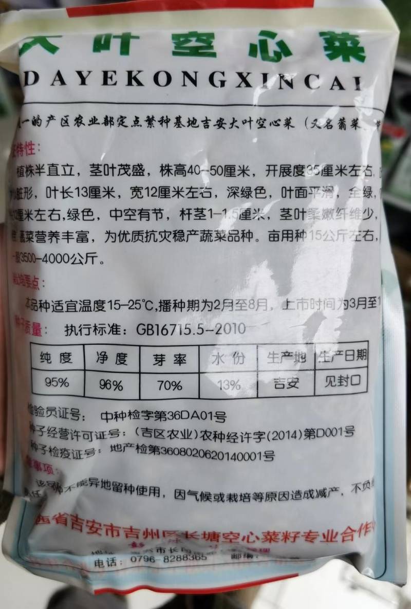 江西原种大叶空心菜种子多次采收，耐湿耐热亩产万斤以上