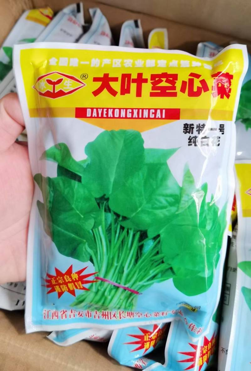 江西原种大叶空心菜种子多次采收，耐湿耐热亩产万斤以上