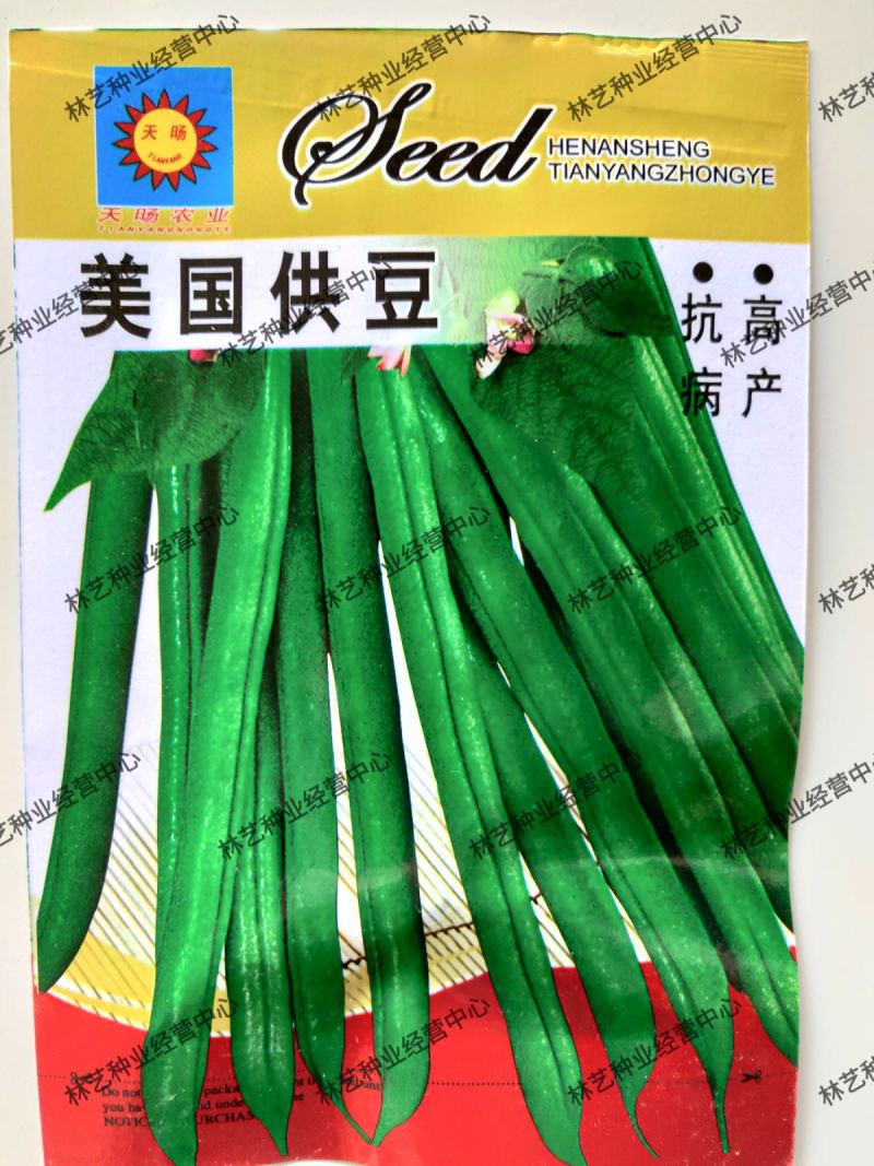 美国供豆种子架豆王种子菜豆高产豆角抗病豆种蔬菜
