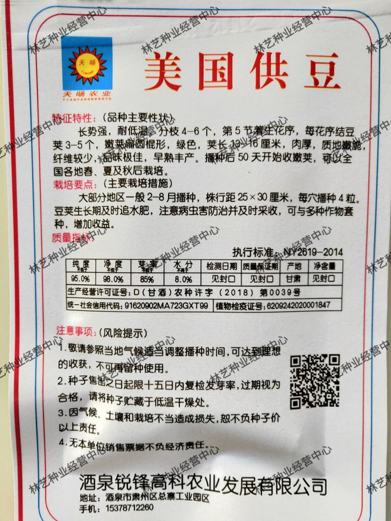 美国供豆种子架豆王种子菜豆高产豆角抗病豆种蔬菜