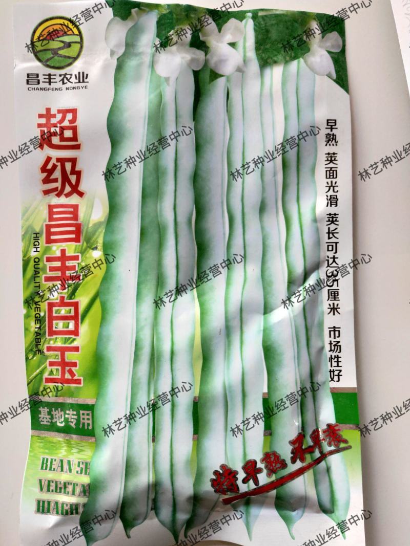 超级昌丰白玉豆种子老来少豆角种籽孑早熟高产春秋季四季豆角