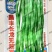 昌丰长龙特长无筋架豆青豆菜豆籽长芸豆四季豆爬藤蔬菜种子