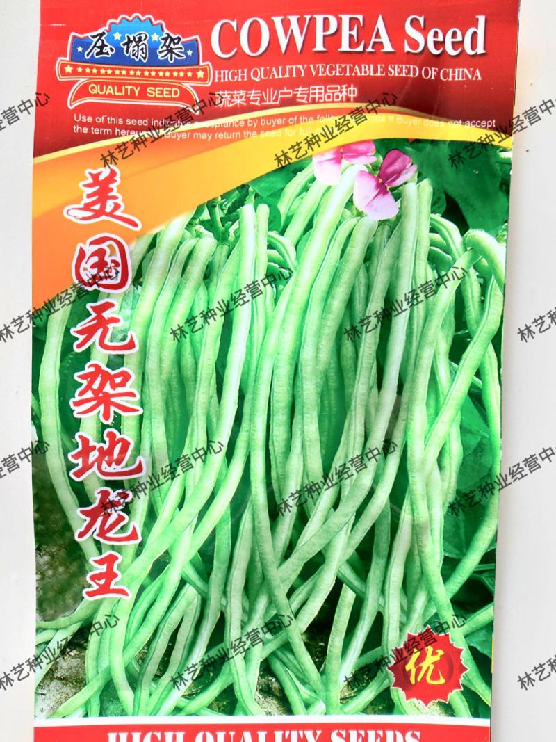 美国无架豆角种子地豆角种孑豇豆种籽高产早熟春季秋季四季