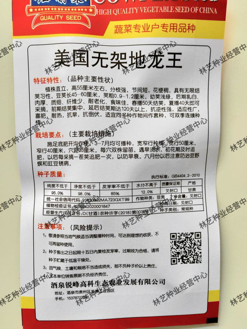 美国无架豆角种子地豆角种孑豇豆种籽高产早熟春季秋季四季