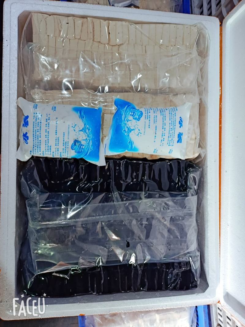 正宗长沙臭豆腐生胚批发厂家直销质量保证放心购买