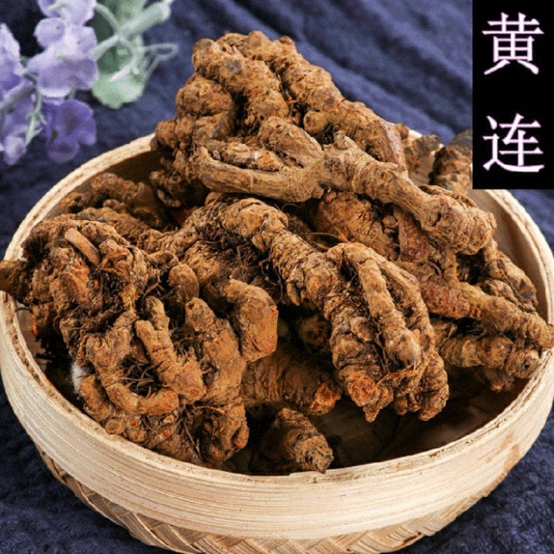 大量供应黄连个，黄连片，各种规格货源充足