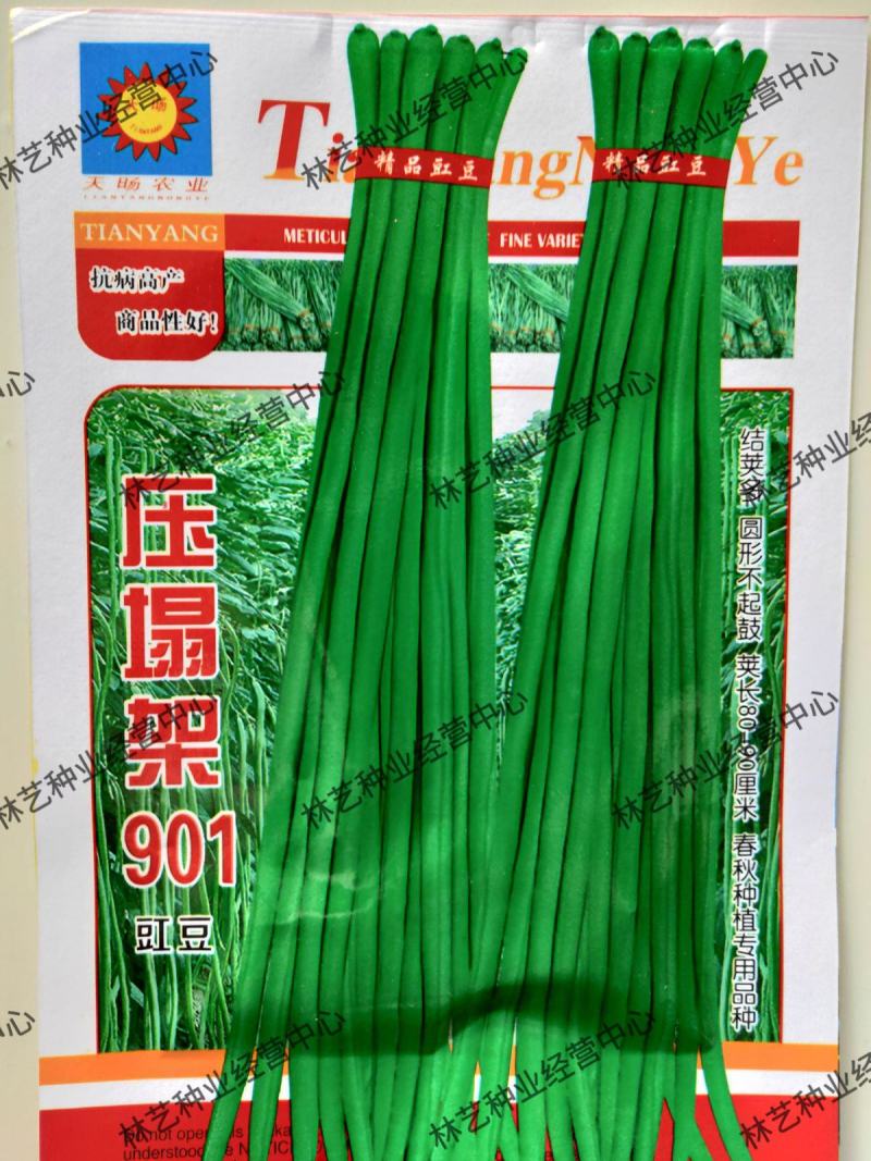 压塌架901豇豆种子搭架长豆角种籽结荚多特高产抗病