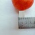 正常长沙白色臭豆腐生胚批发厂家直销品质保证，包邮