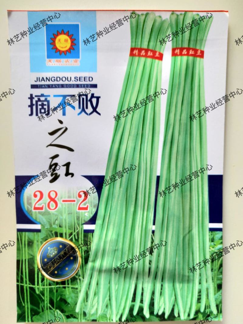 摘不败豆角种子高产特长新品种南北方青白豆角籽春秋四季蔬菜