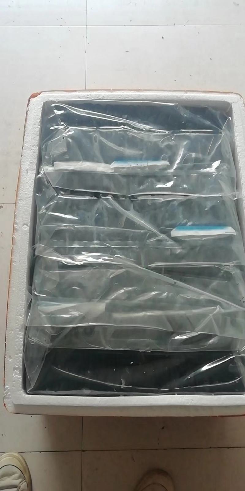正宗长沙臭豆腐生胚批发厂家直销质量保证放心购买