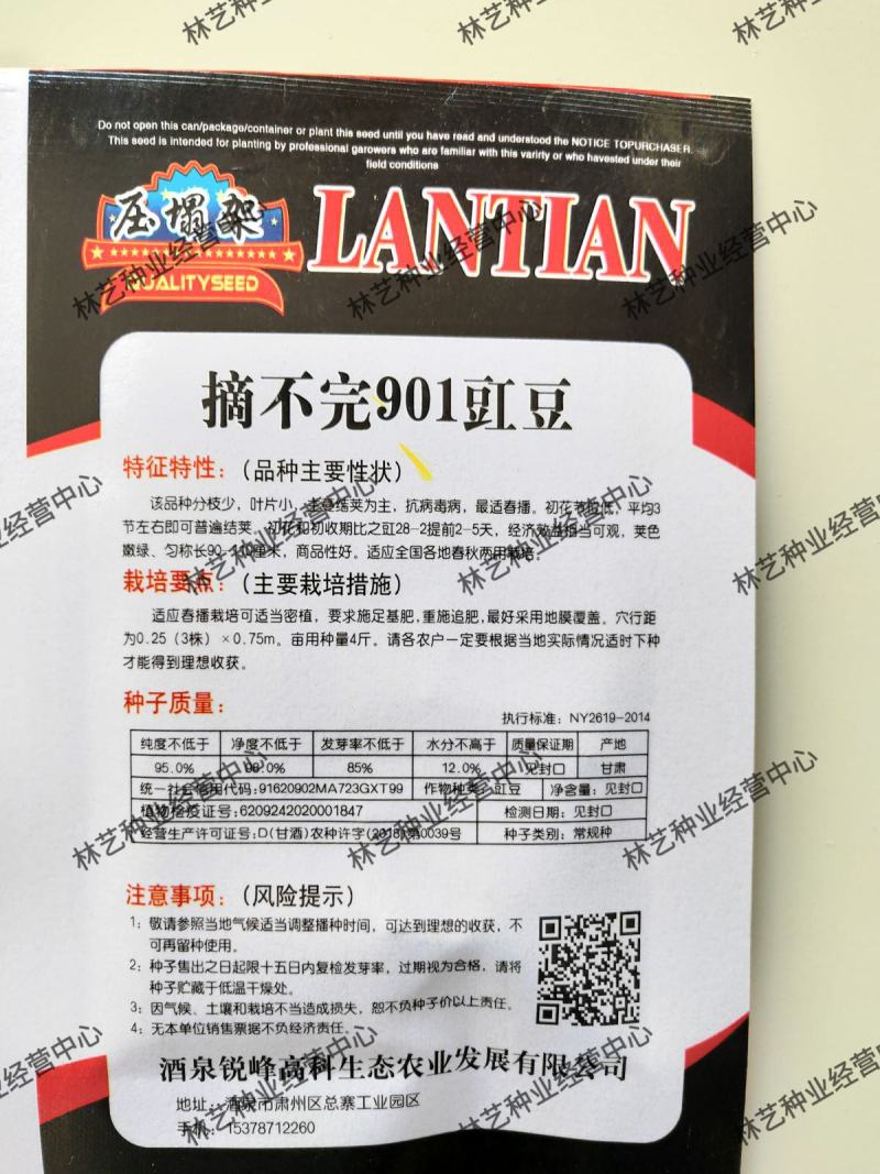 摘不完901豆角种子农田菜园基地丰产早熟肉厚柔嫩长豇豆