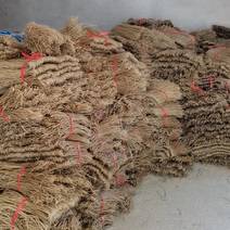 安徽宿州砀山粉条木薯粉条手工制作厂区直供一手货源