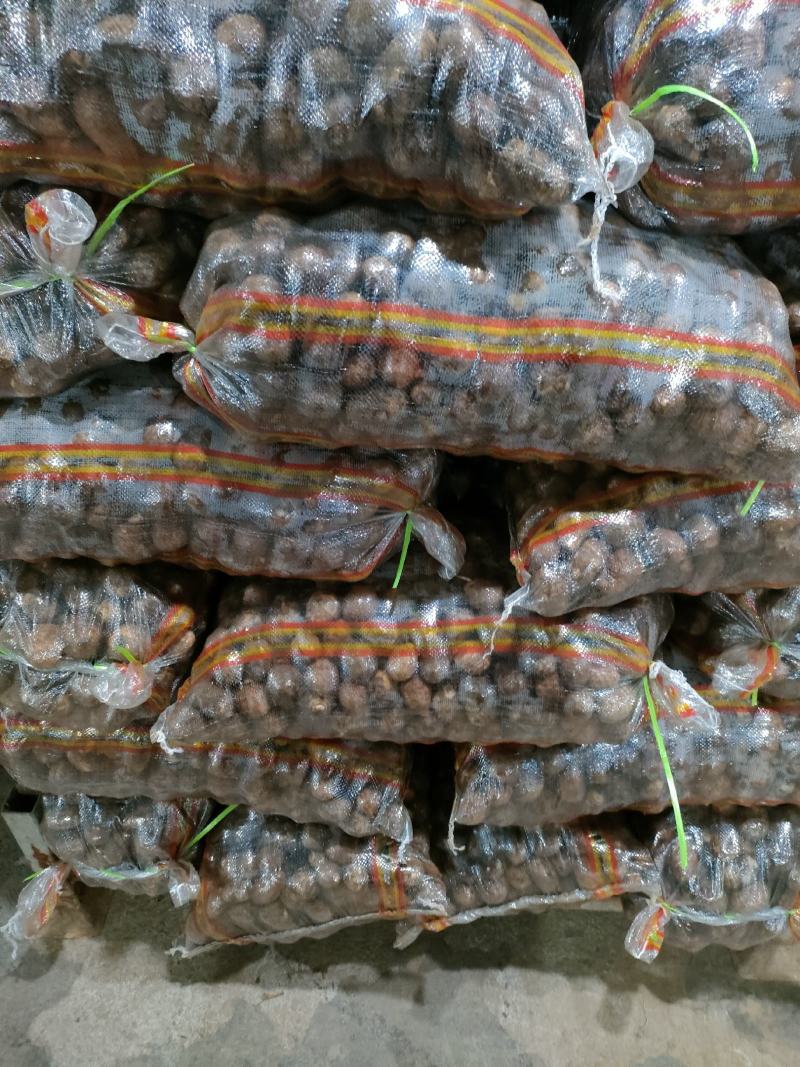 山东毛芋头8520豆包毛芋头供应电商毛芋头支持电商全国发