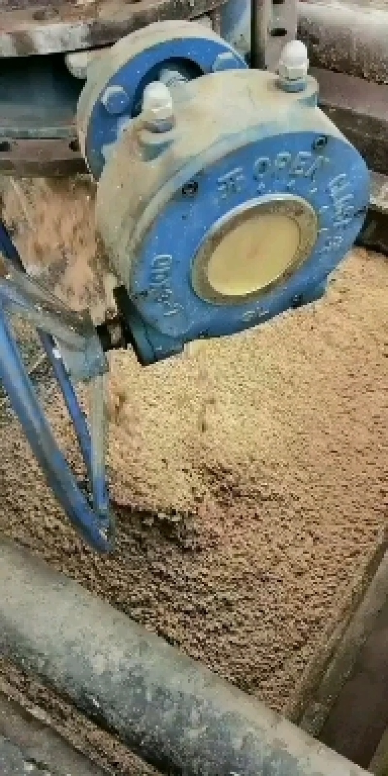 广东肇庆市蓝带啤酒有限公司