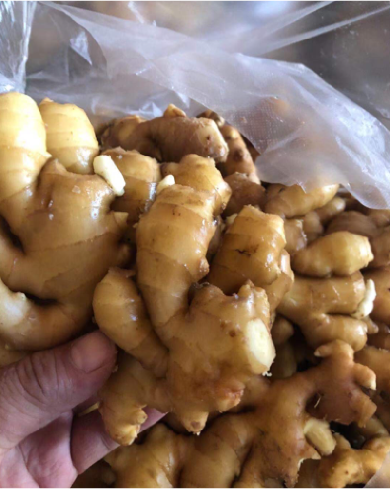生姜，优质黄姜，电商货视频看货，质优价廉