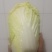 大娃娃菜，小娃娃菜，基地直供，面积大，质量可以