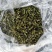 轮叶黑藻水草种子种籽养殖专用增氧净化水质节节草灯笼泡包邮