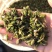 轮叶黑藻水草种子种籽养殖专用增氧净化水质节节草灯笼泡包邮