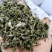 轮叶黑藻水草种子种籽养殖专用增氧净化水质节节草灯笼泡包邮