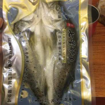 开背鲈鱼海鲈鱼单个真空包装，全国冷链发货