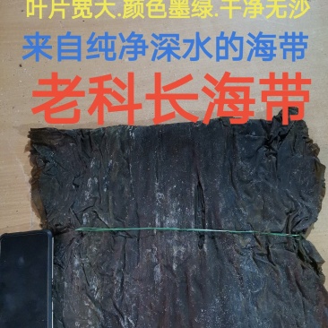 老科长海带片:特优一棵菜.单选宽叶.无黄无杂.品质同报价