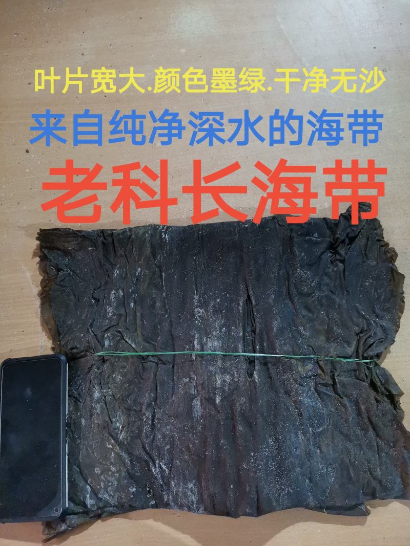 老科长海带片：特优一棵菜.单选宽叶.无黄无杂.品质同报价