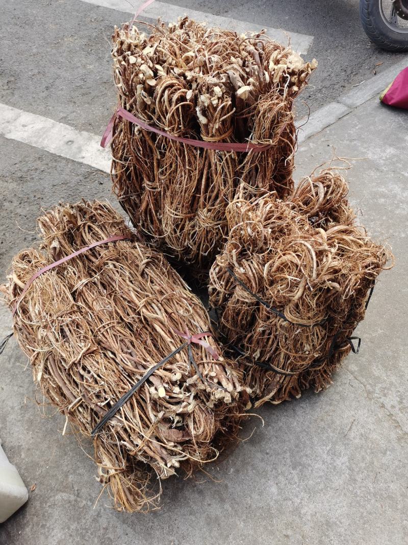 五指毛桃，大瑶山产地直发，一手货源，品质保证