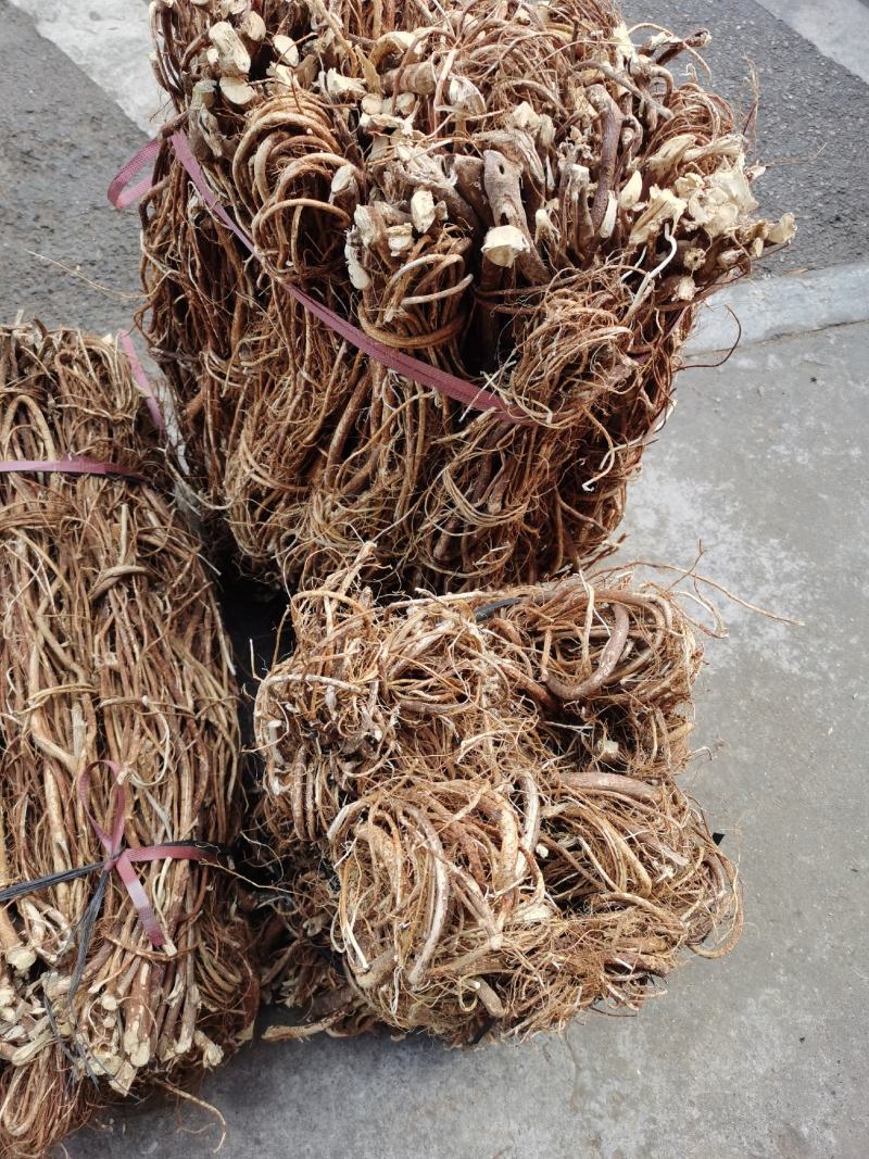 五指毛桃，大瑶山产地直发，一手货源，品质保证