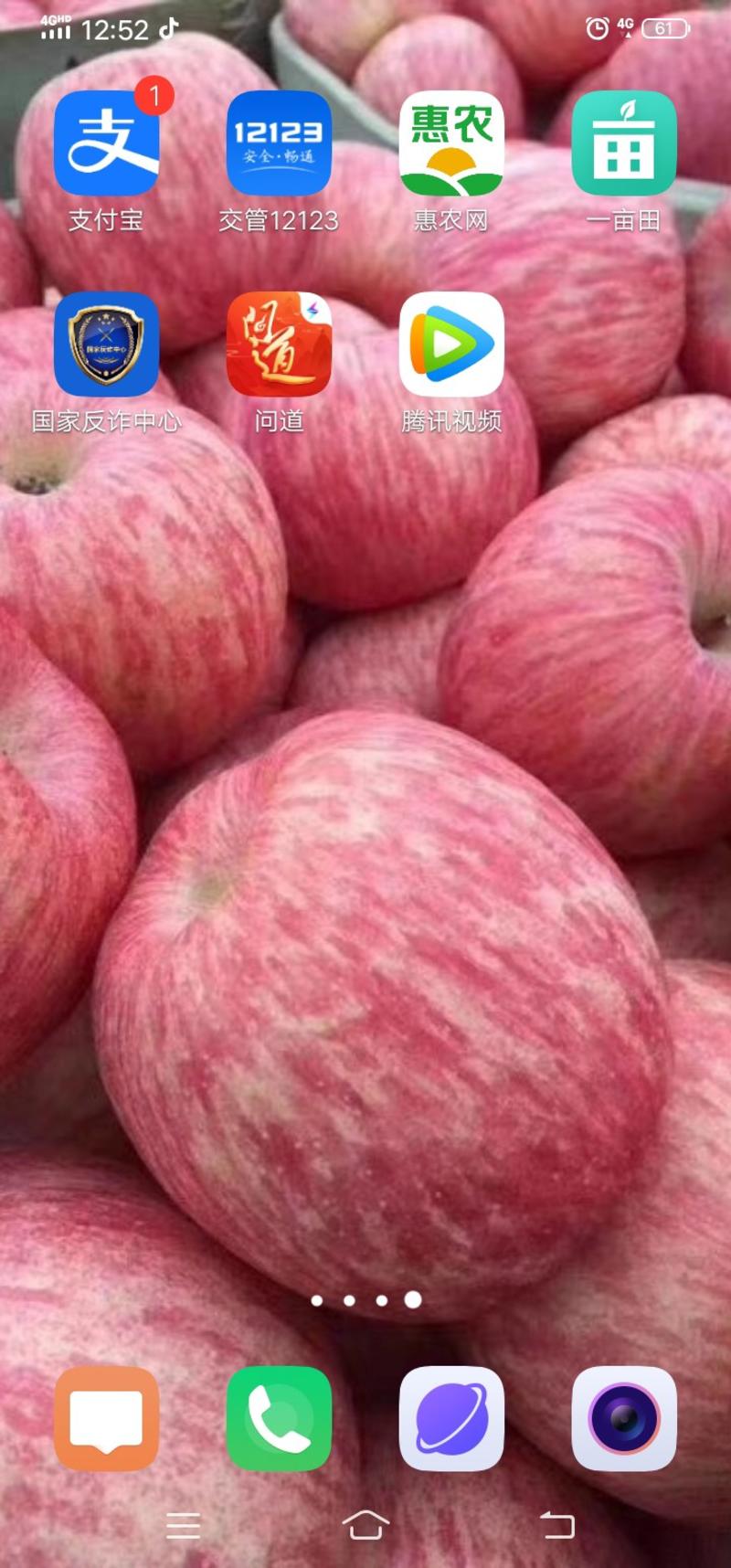 精品果，陕西洛川红富士苹果大量供应当中