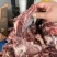 肩胛骨，满肉牛骨，满肉牛脊骨，自助，卤炖超合适