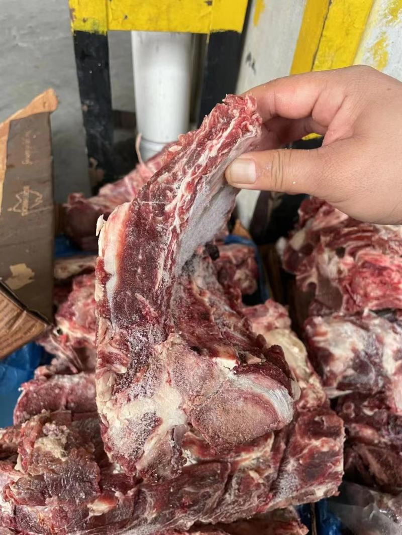 肩胛骨，满肉牛骨，满肉牛脊骨，自助，卤炖超合适