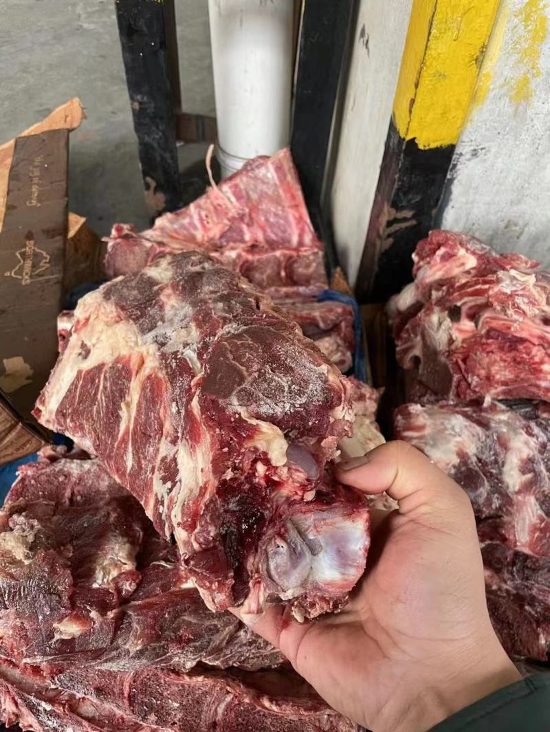 肩胛骨，满肉牛骨，满肉牛脊骨，自助，卤炖超合适