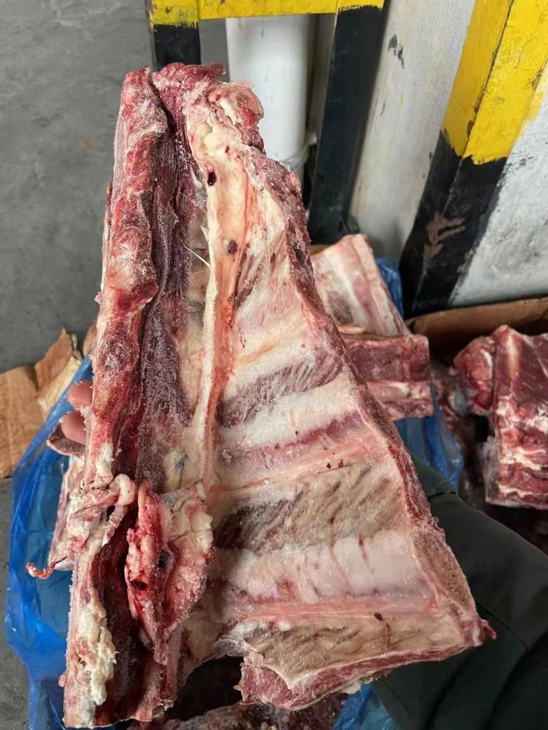 肩胛骨，满肉牛骨，满肉牛脊骨，自助，卤炖超合适