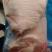 新鲜猪肘子猪蹄膀猪腿原切新鲜品质保量