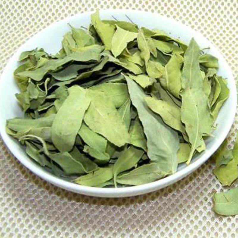 罗布麻精品罗布麻叶可泡茶中药材批发罗布麻质量保证