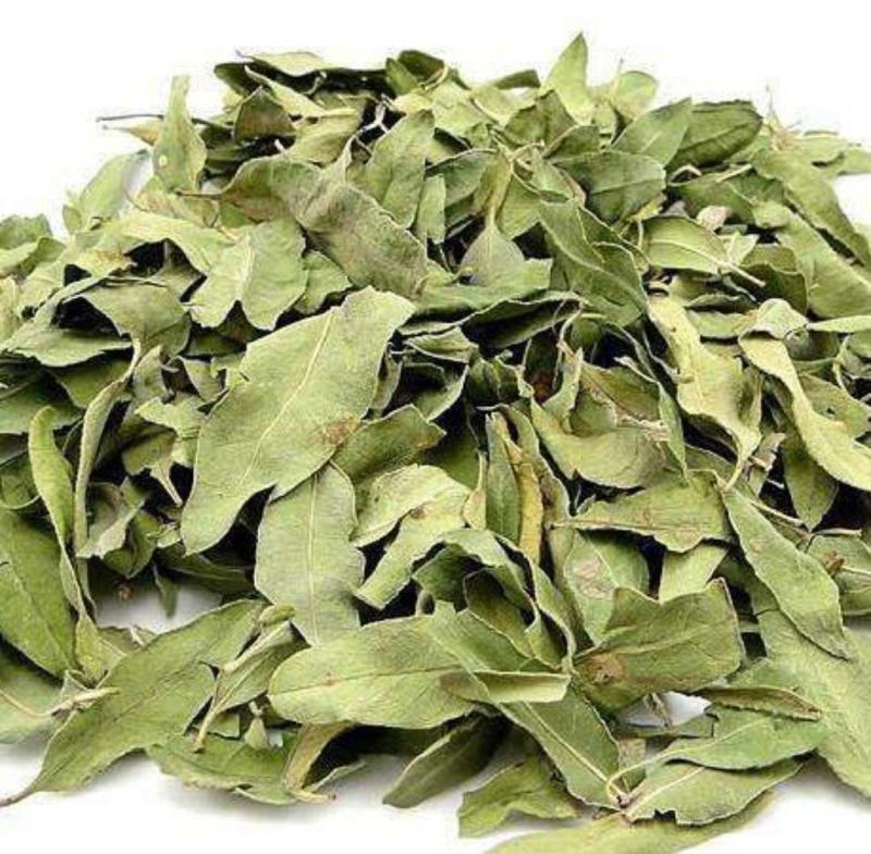 罗布麻精品罗布麻叶可泡茶中药材批发罗布麻质量保证