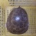8.4斤老甲鱼！