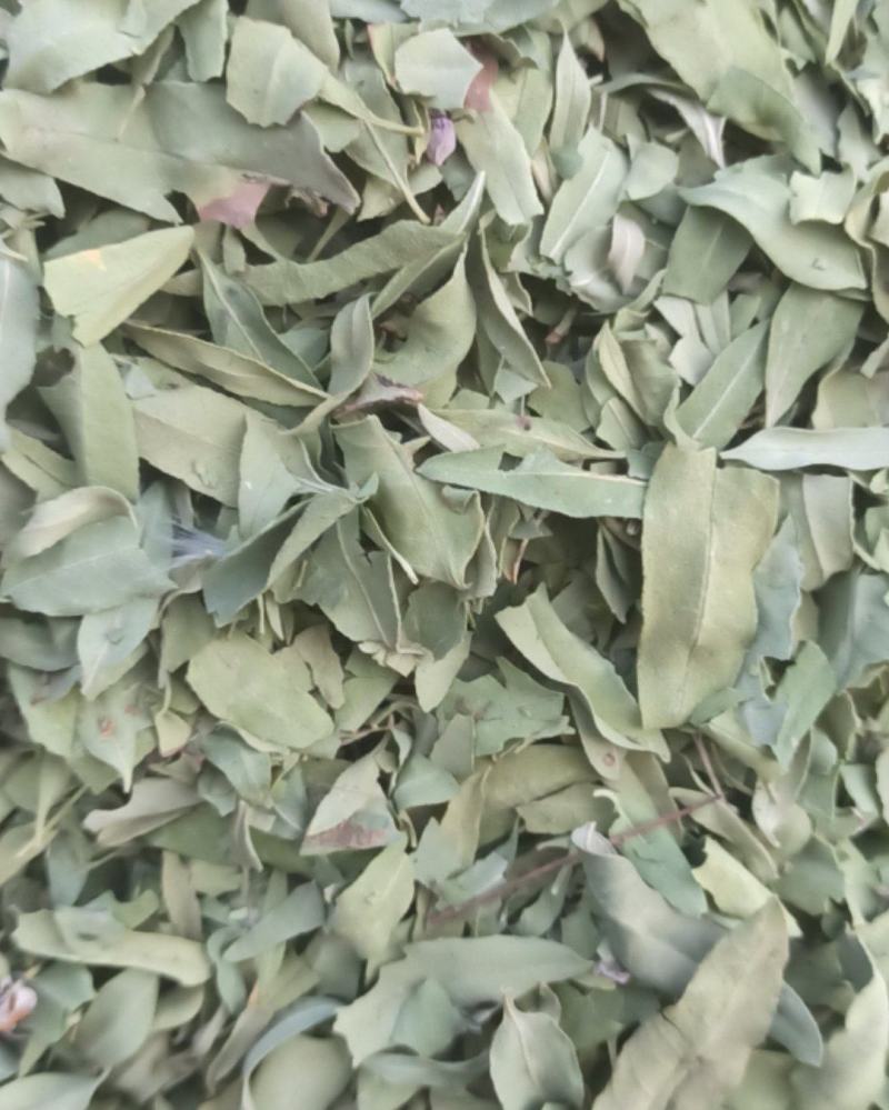 罗布麻精品罗布麻叶可泡茶中药材批发罗布麻质量保证