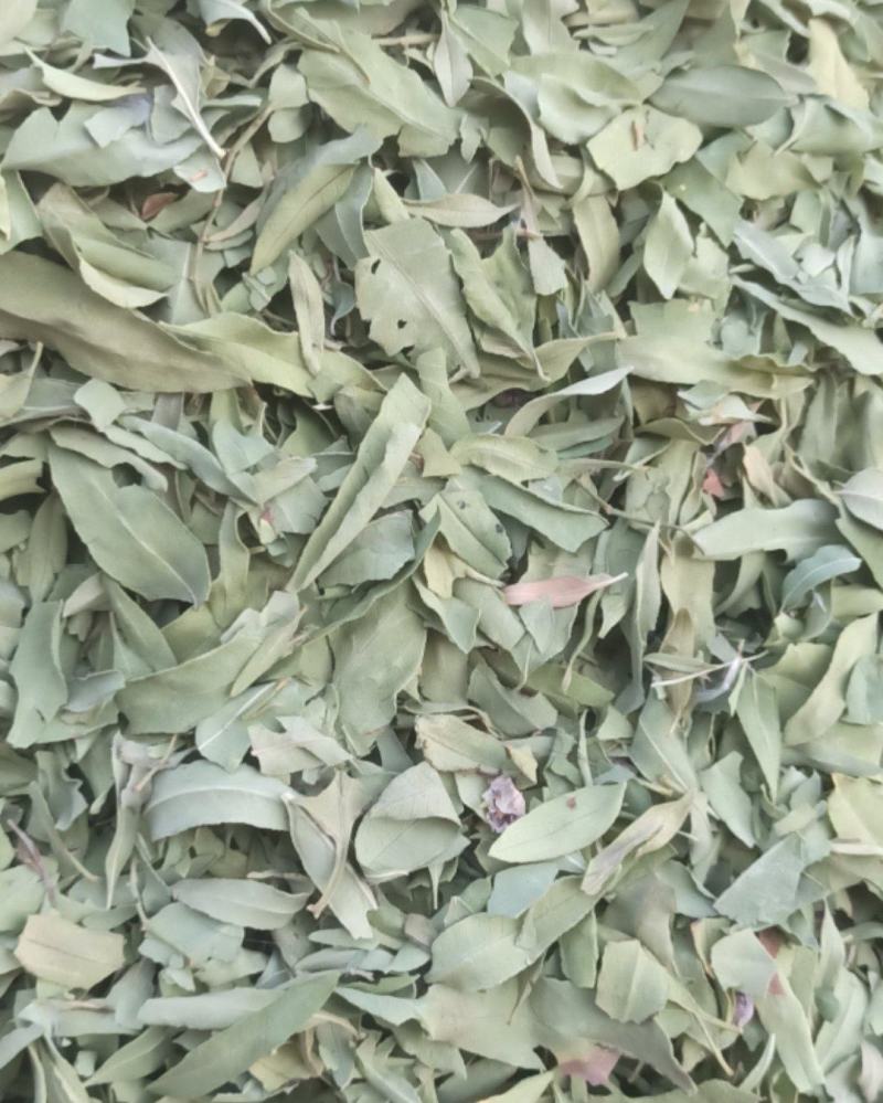 罗布麻精品罗布麻叶可泡茶中药材批发罗布麻质量保证