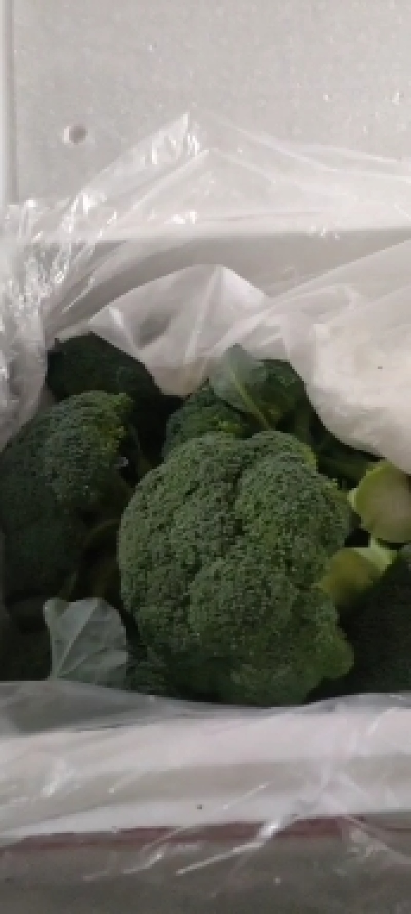 精品西兰花湖北货鲜货走车供应各大商超，批发商欢迎订购