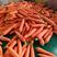 安徽省萧县胡萝卜，杂交品种，三两起步，中条，小条，大头，