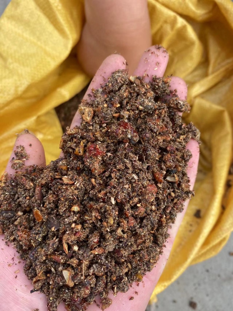 枣粉饲料枣粉秸秆饲料牛羊红枣粉牛羊能量饲料牧草厂家
