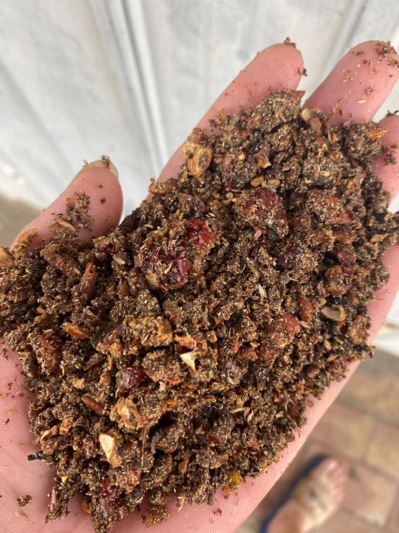 枣粉饲料枣粉秸秆饲料牛羊红枣粉牛羊能量饲料牧草厂家