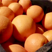 广西富川原产地直发，到家，富川脐橙，橙汁味道十足